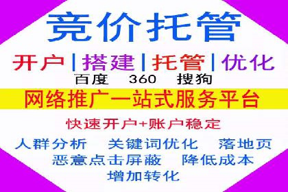 案例分享：专业SEM托管助力品牌崛起